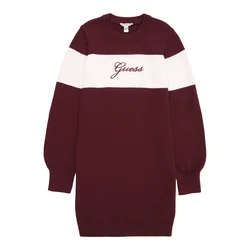 GUESS Obleka temno rjava/bela