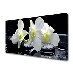 tulup.si Slika na platnu Bela orhideja cvet 125x50 cm