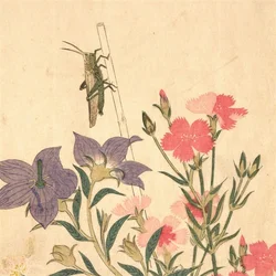 Chypho - Entomongaku II (Limited Edition) (2 LP)