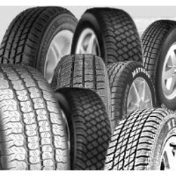 Kormoran CargoSpeedEvo ( 205/65 R16C 107/105T )