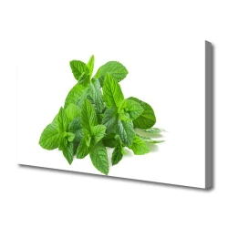 tulup.si Slika na platnu Mint rastlin narava 100x50 cm