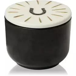 Paddywax Charmed Tabac & Pine dišeča sveča s pokrovčkom 226 g