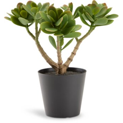 Veštačka biljka JOSTEIN V23cm zelena