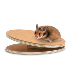 Karlie Bogie Disc Wooden Running Disc for Rodent Size M 25cm 1030510