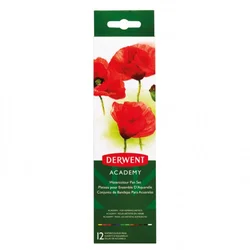 Vodene boje Derwent 1/12