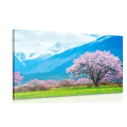 Slika čarobno drevo sredi gor - 90x60