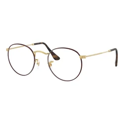 Ray-Ban RX3447V 3188