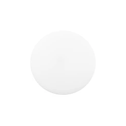 Ecolite WYB380-CCT/24W/BI - LED stropno svetlo DISK, LED/24W/230V, IP44, belo