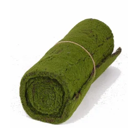 Dekorativna podloga od mahovine Moss, 205x50cm, Zelena