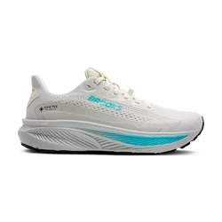 Brooks Ghost 17 GTX