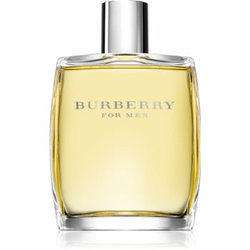 BURBERRY Muška toaletna voda Men Edt 100 ml
