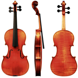 Violina 4/4 Maestro 45 Gewa – različni modeli