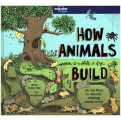 How Animals Build