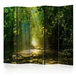 artgeist Paravan Road In Sunlight I, 5-Delni, Enostranski