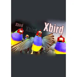 Xbird Steam Key GLOBAL