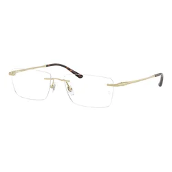 Ray-Ban RX8781D 1251