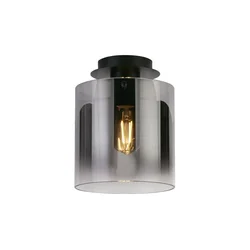 Searchlight 88911-1BK - Plafonsko svetlo SWEDEN 1xE27/60W/230V prečnik 22 cm crna/zadimljeno