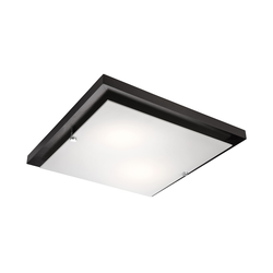 Plafonsko svetlo 2xE27/60W/230V
