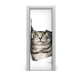 tulup.si Tapete na vratih Cat v luknjo 85x205 cm