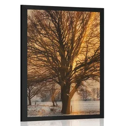 Plakat drevo v zasneženi deželi - 40x60 no frame