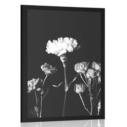 Plakat elegantne črnobele rože - 20x30 white