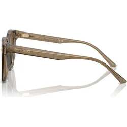Jimmy Choo Naočare za sunce JC 5016D 505173
