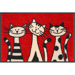 wash+dry PREDPRAŽNIK Three Cats 40/60 cm potiskano rdeča