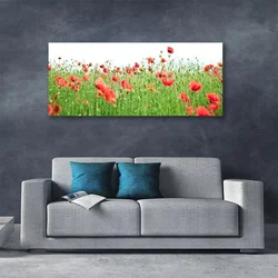 tulup.si Slika na platnu Rastlinskih mak naravi 120x60 cm