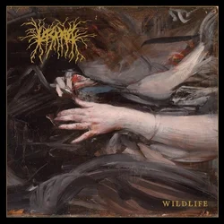 Lascar - Wildlife (LP)