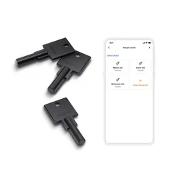 Netatmo rezervni ključ za pametno ključavnico, 3 kosi