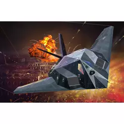 F-117A Nighthawk Stealth Fighter