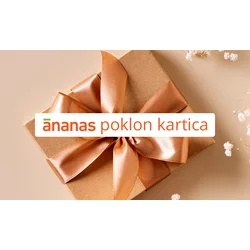 Ananas poklon kartica V