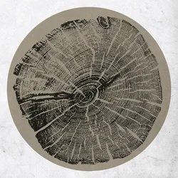 Roy Montgomery - H: Bender (LP)
