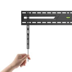 Sbox Nosač za televizor  BL-3869F, 50-100, 75kg, 900x600, Crni