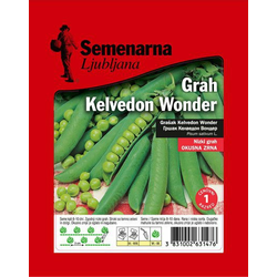 GRAH KELVEDON/ Kelvedon Wonder 100g