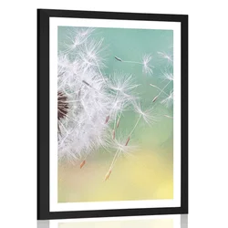 Plakat s paspartujem čarobna regratova lučka - 40x60 no frame