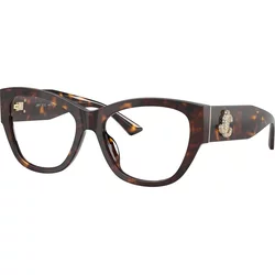 Jimmy Choo Naočare JC 3033BU 5002