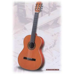 SANCHEZ KLASIÄONA kitara 1005