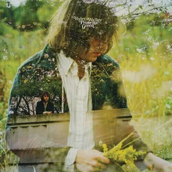 Ryley Walker - Primrose Green (Limited Edition) (LP)