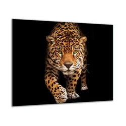 shumee Steklena zaščitna plošča ZA štedilnik 60x52 tiger