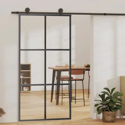 Den Drsna vrata z opremo ESG steklo in aluminij 102x205 cm