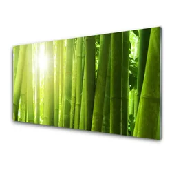 tulup.si Steklena slika Bamboo rastlin 100x50 cm 4 obešalnika