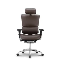 Ergovision Ergonomski pisarniški stol Smart Deluxe | Barva: Rjava