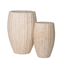 H025-S2 -