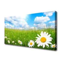 tulup.si Slika na platnu Daisy grass nature 100x50 cm
