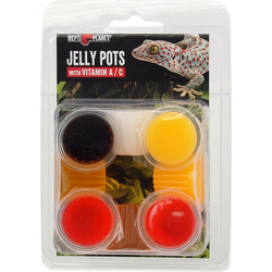 Feed Repti Planet Jelly Pots Mixed 8 kom