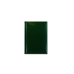 NOVASKIN Rokovnik B5 - Kelly green