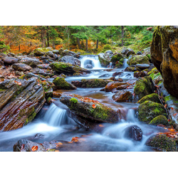 Enjoy - Puzzle Forest Stream in Autumn - 1 000 kosov