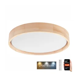 Brilagi - LED plafonsko svetlo MANAROLA SMART LED/24W/230V + daljinski upravljač Tuya