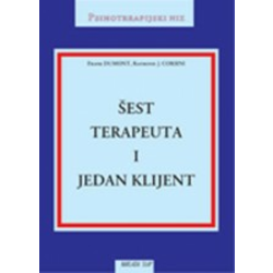 Šest terapeuta i jedan klijent